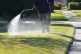 weed killer roundup